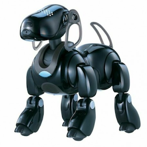 aibo.sgliERS7 Black Repair